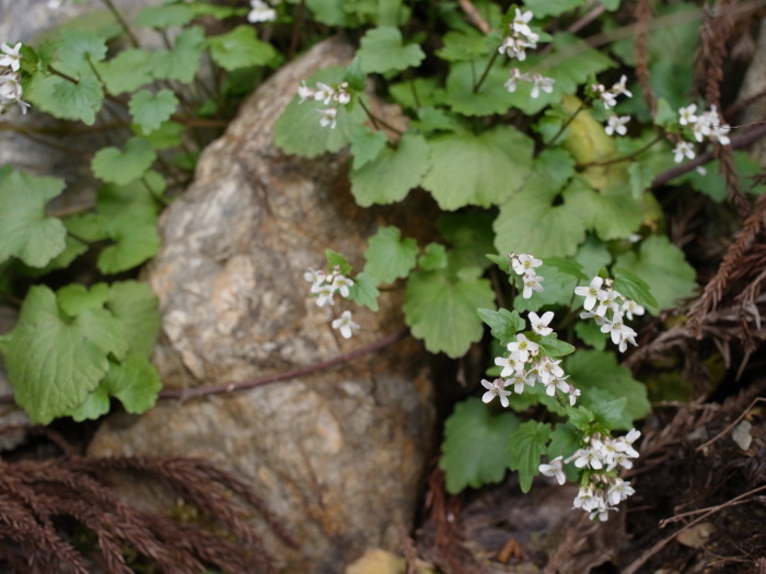 e0276411_22133055.jpg