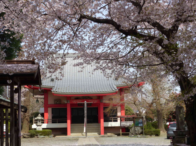 SAKURA2017 part2_f0296312_00160711.jpg
