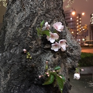 占いでは気づきの季節 NO.534_c0102513_22452210.jpg