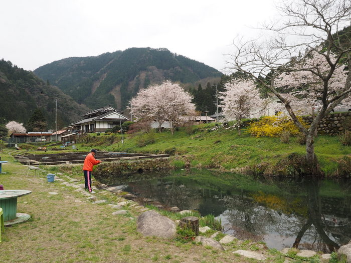 湯来つり堀_c0116915_056754.jpg