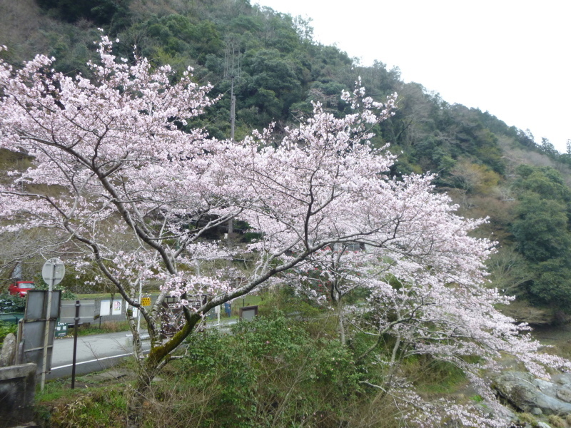 京都トレイル　小倉山から清滝まで歩く_d0170615_18434684.jpg