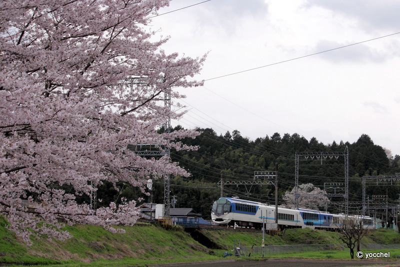 2017/04/09　近鉄大阪線 ヤッパリ正統派 雲出川の桜_a0030717_20225946.jpg