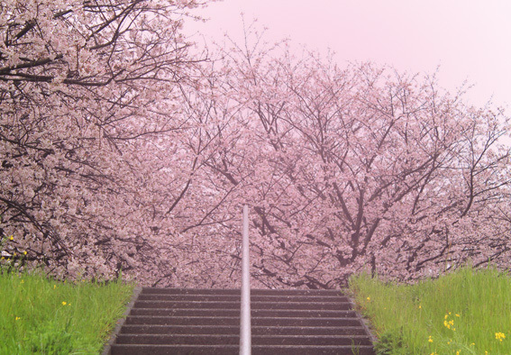 a0329820_10364040.jpg