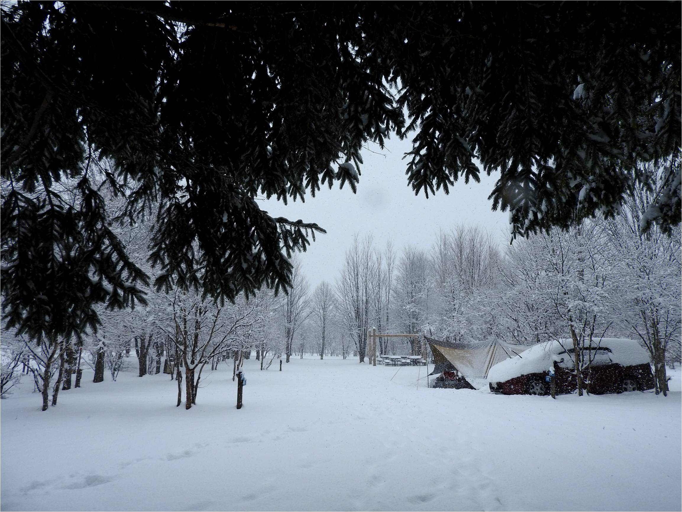 【2017年4月11日】雪が降っています_b0174425_13291232.jpg