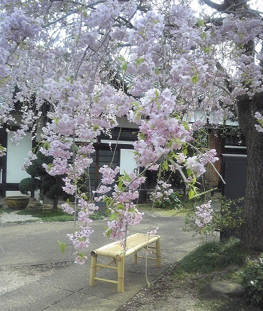 d0060425_10501144.jpg