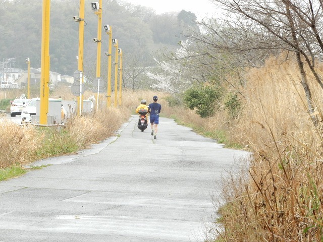 おにゃじ〝第35回横浜ロードレース”を走る　part2_b0166128_09590797.jpg