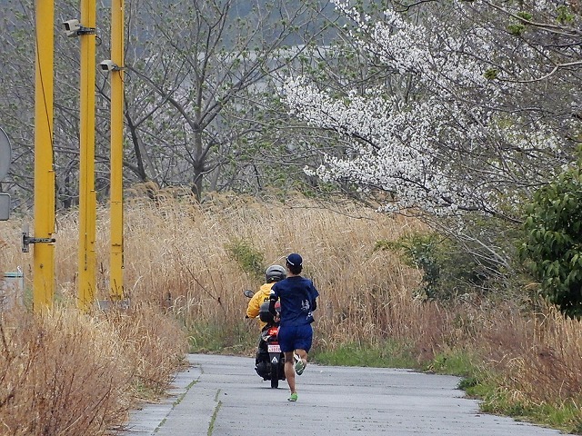 b0166128_09591944.jpg