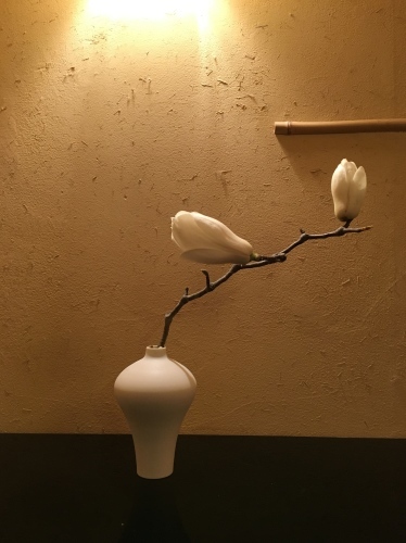 白木蓮_a0197730_22471429.jpg