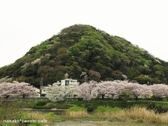 桜吹雪が見られるかな～(#^.^#)_d0147030_12182534.jpg