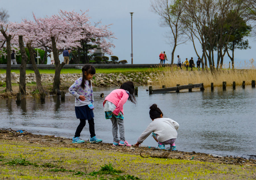 湖北の桜巡り（海津大崎・余呉湖・長浜城）_e0360431_14254771.jpg