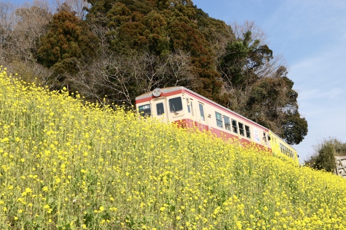 f0348831_17320508.jpg