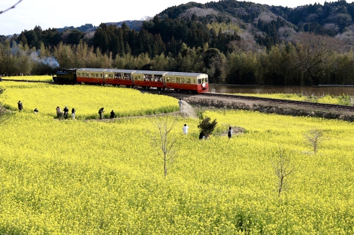 f0348831_17321155.jpg