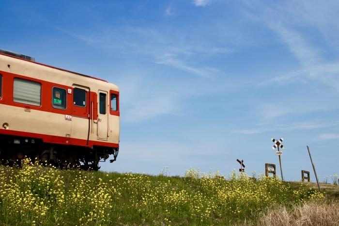 【第二五之町踏切】いすみ&小湊鉄道 part 2_f0348831_17490657.jpg