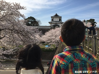 お花見　～兼六園～_e0145332_20171492.jpg