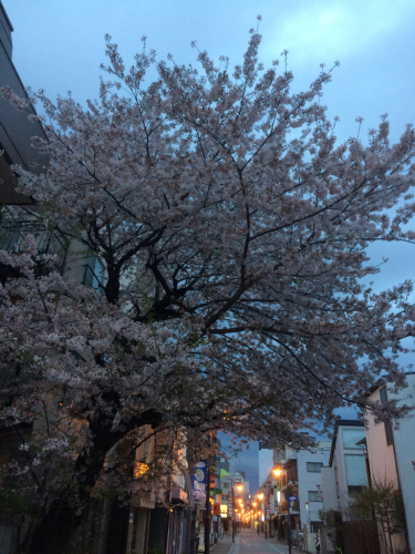 f0327534_10261660.jpg