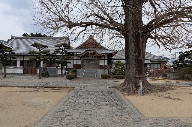 a0242438_19500303.jpg