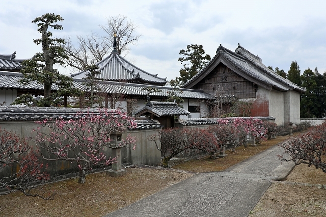 a0242438_19520181.jpg