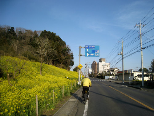 小湊鉄道＆いすみ鉄道の全駅を訪ねるサイクリング！いすみ鉄道編_d0111439_18160161.jpg