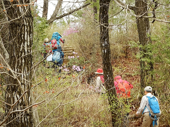 e0371039_21481330.gif