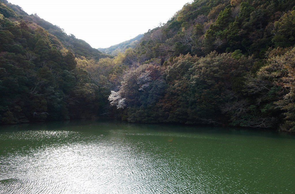 runトレで西山遊歩道_b0133440_226285.jpg