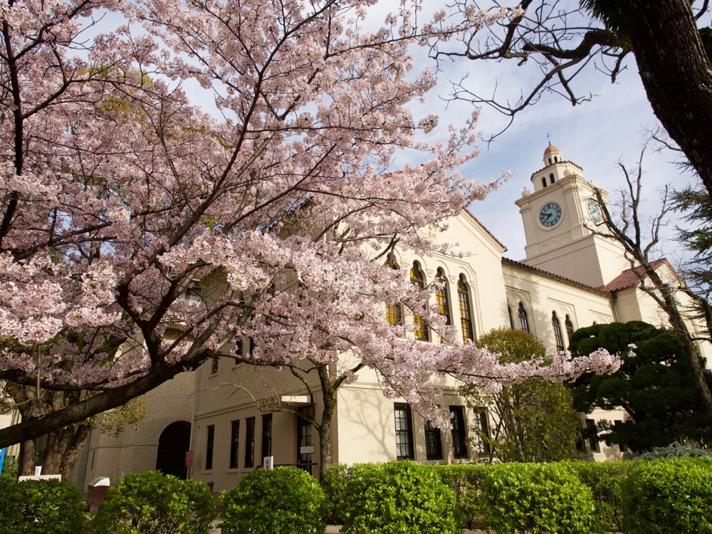 関西学院大学の桜 2017_e0337740_20570467.jpg