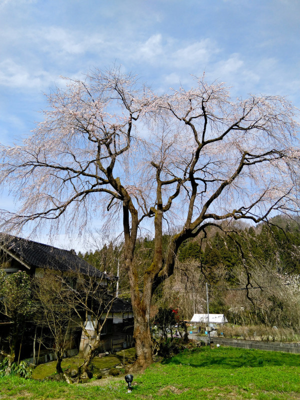 f0377241_20355184.jpg