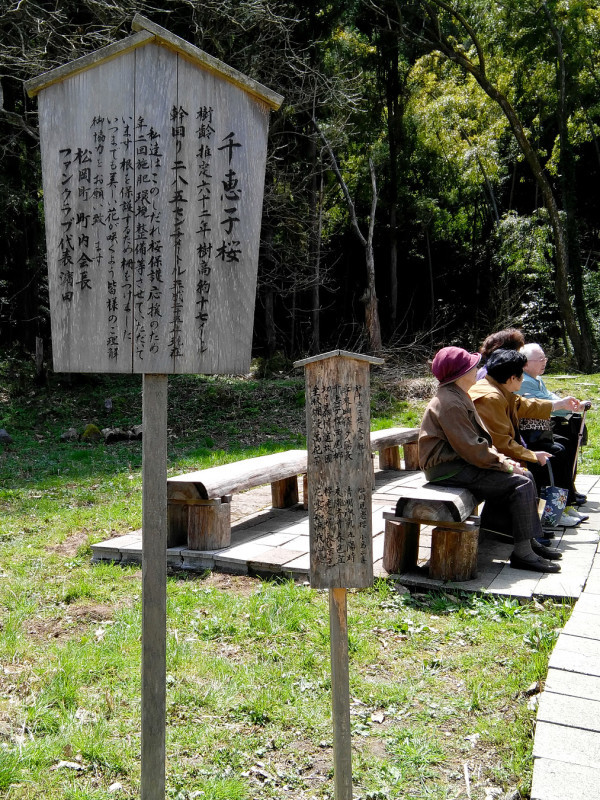 f0377241_20355999.jpg