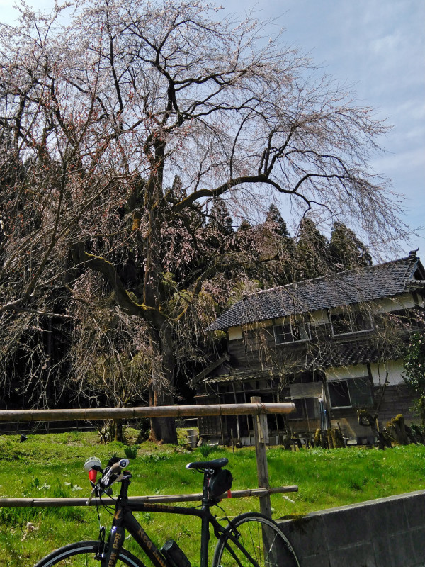 f0377241_20360473.jpg