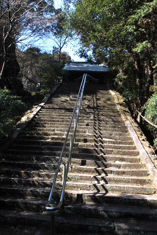 【柞原八幡宮】　豊後一之宮、そして伝承樹齢３０００年の大楠_c0011649_144525.jpg