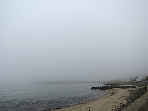 f0214649_04592428.jpg