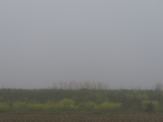 f0214649_05055095.jpg