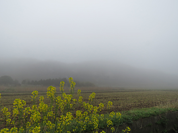 f0214649_05061580.jpg