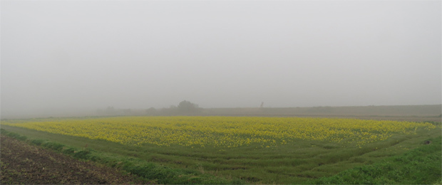 f0214649_05062203.jpg