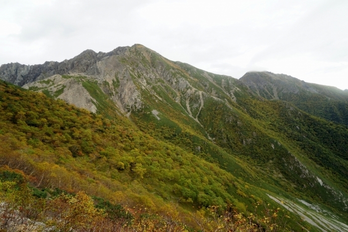 赤石山脈盟主への帰省④赤石岳～悪沢岳 2016.09.24(土)～27(火)_f0344554_20060668.jpg