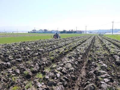 七城米 長尾農園 毎年繰り返される「天地返し」で、深くまで根を張る田んぼの土つくり_a0254656_16434145.jpg