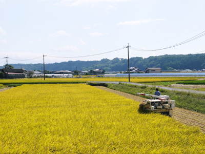 七城米 長尾農園 毎年繰り返される「天地返し」で、深くまで根を張る田んぼの土つくり_a0254656_17364872.jpg