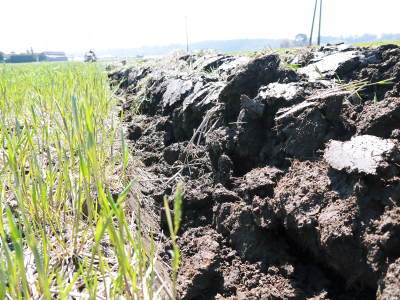 七城米 長尾農園 毎年繰り返される「天地返し」で、深くまで根を張る田んぼの土つくり_a0254656_18004101.jpg