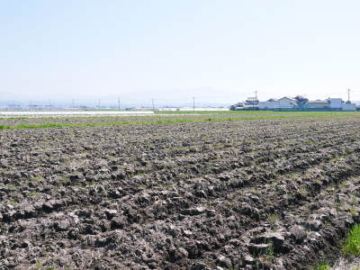 熊本の美味しいお米(七城米 長尾さんちのこだわりのお米)大好評発売中!とことん手をかけ育てたお米!_a0254656_18043487.jpg