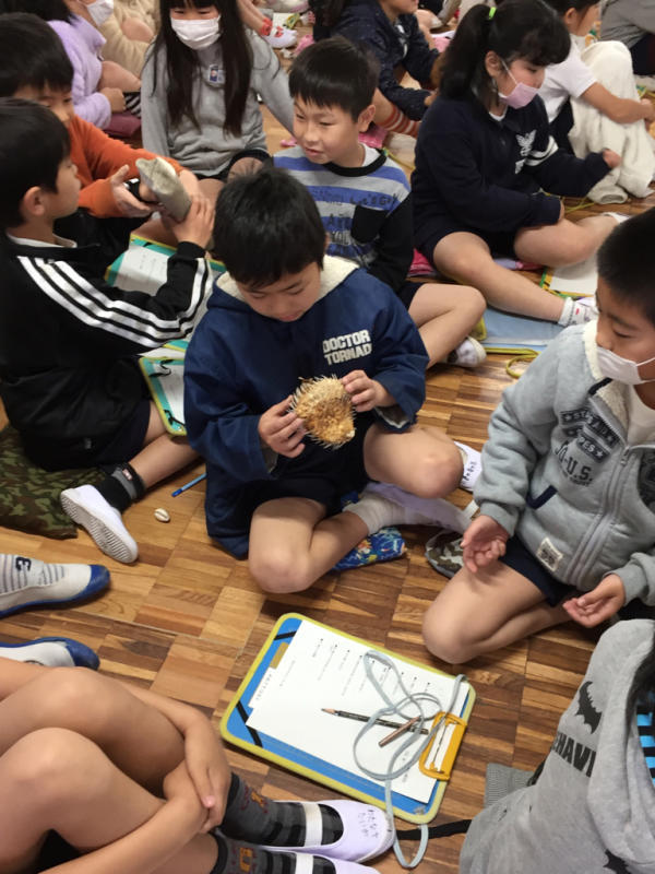 4年生 アマモ授業_b0211757_11105235.jpg