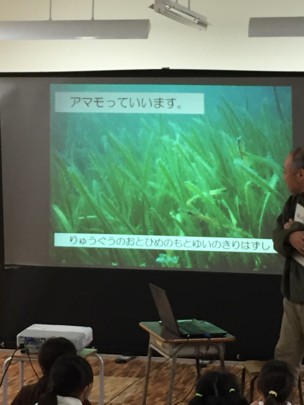 4年生 アマモ授業_b0211757_11105438.jpg