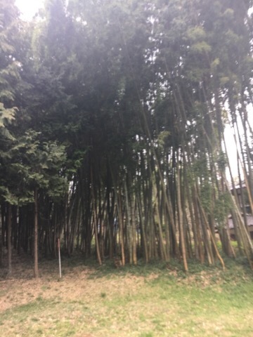 f0363168_07054512.jpg