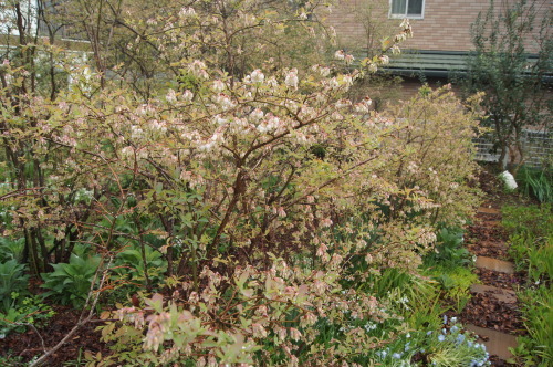 e0181373_21160987.jpg