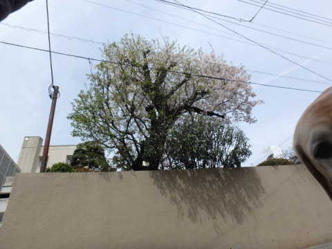 f0052277_01432707.jpg