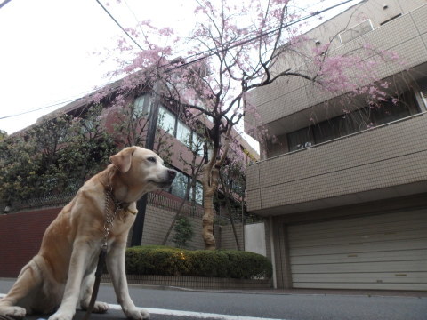 f0052277_01444988.jpg