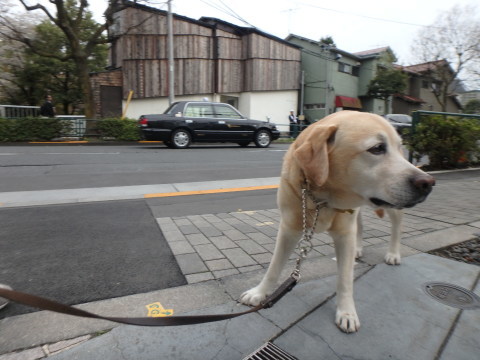 f0052277_01515807.jpg