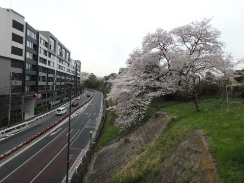 f0052277_01543214.jpg