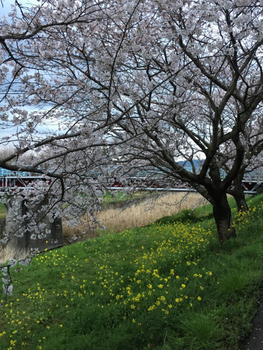 c0116778_10001082.jpg
