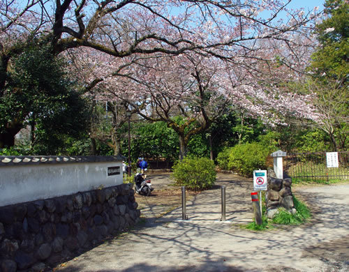 b0123486_16285656.jpg