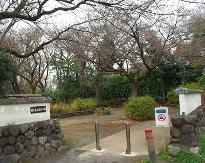 b0123486_16435611.jpg