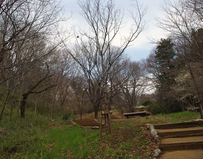 b0123486_16533849.jpg